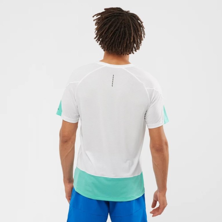 White / Turquoise Salomon Cross Run Graphic Short Sleeve Men's T-Shirts | IE NP9375